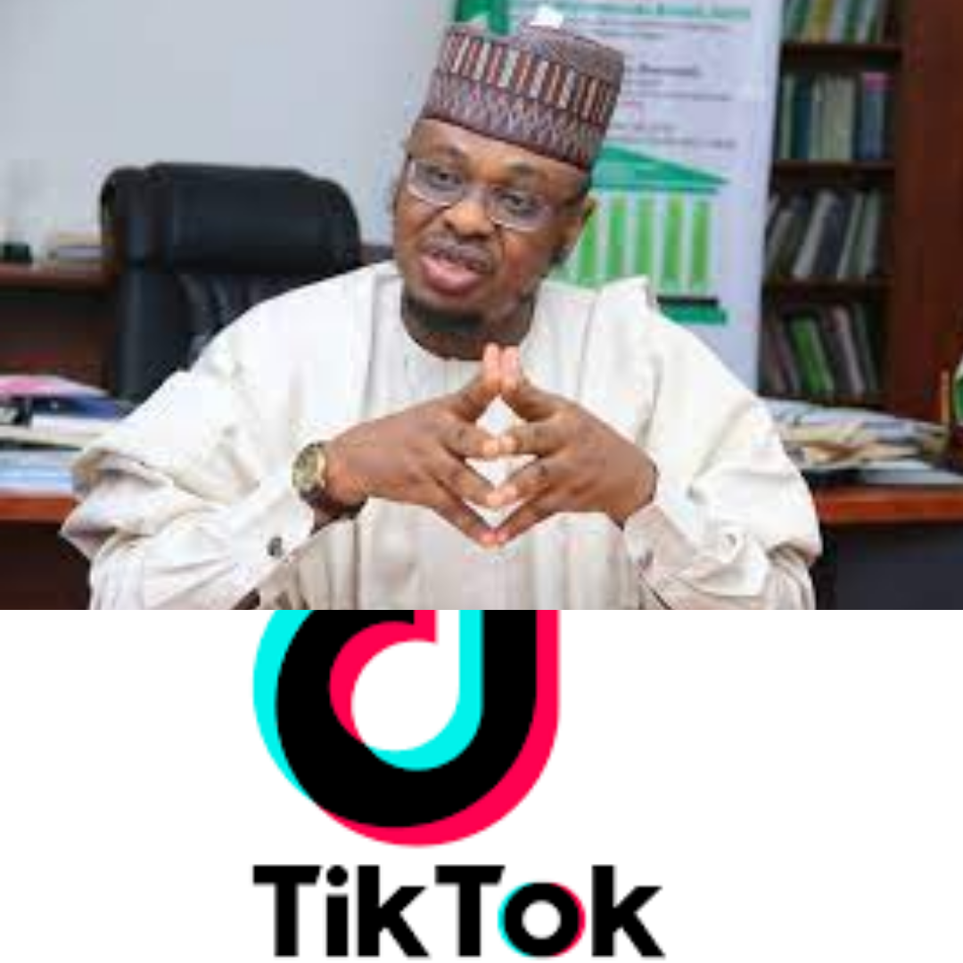 fg-engages-tiktok-on-data-transparency-and-online-safety-techlife