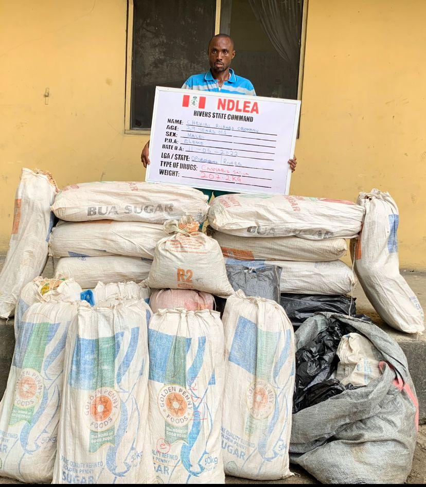 Italy, Dubai-Bound Drugs Blocked In Lagos As NDLEA Seizes 203,879 Tramadol Tabs in Abia, Kaduna, Yobe, Kogi Raids