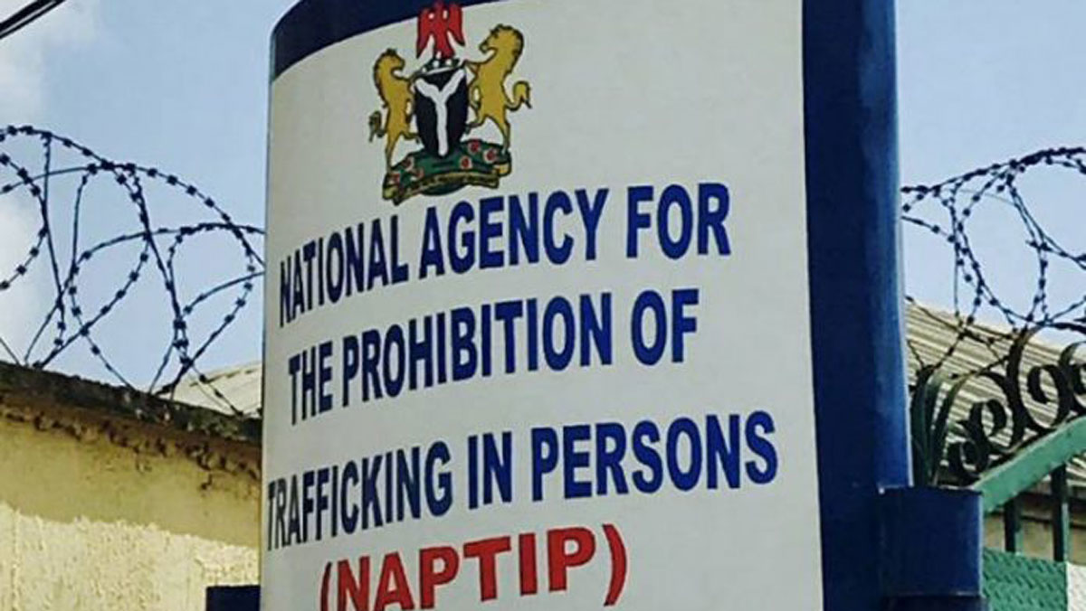 NAPTIP Achieves Landmark: 624 Convictions Secured in 19 Years in the Fight Against Trafficking