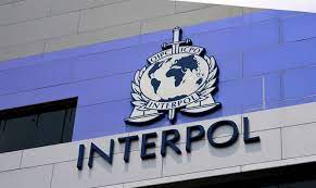 208 W’African accounts blocked – INTERPOL