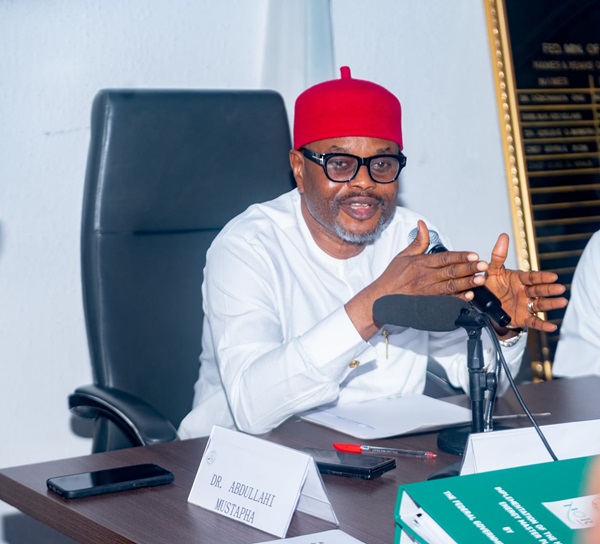 Nnaji Quits! Innovation Minister Bows Out Amid Controversy