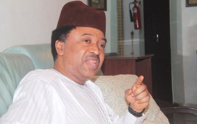 Nigeria’s Pride Intact: Shehu Sani Boasts of Nation’s Unbroken History