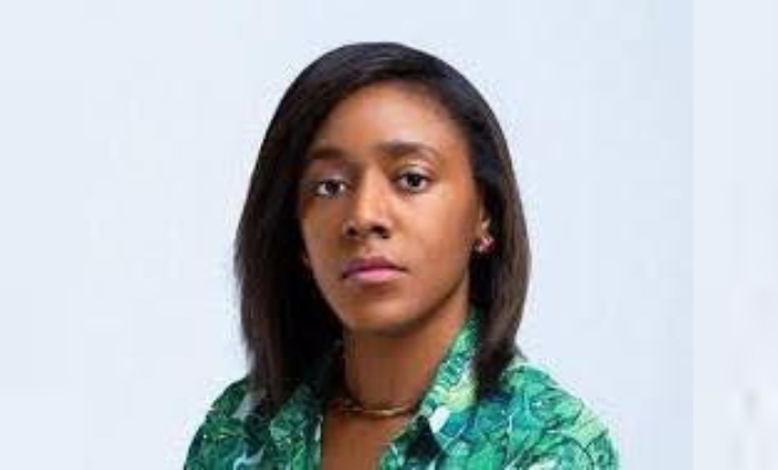 NCC Reconstitutes DBI Board, Appoints Princess Emiko As Interim Chair To Drive Digital Transformation