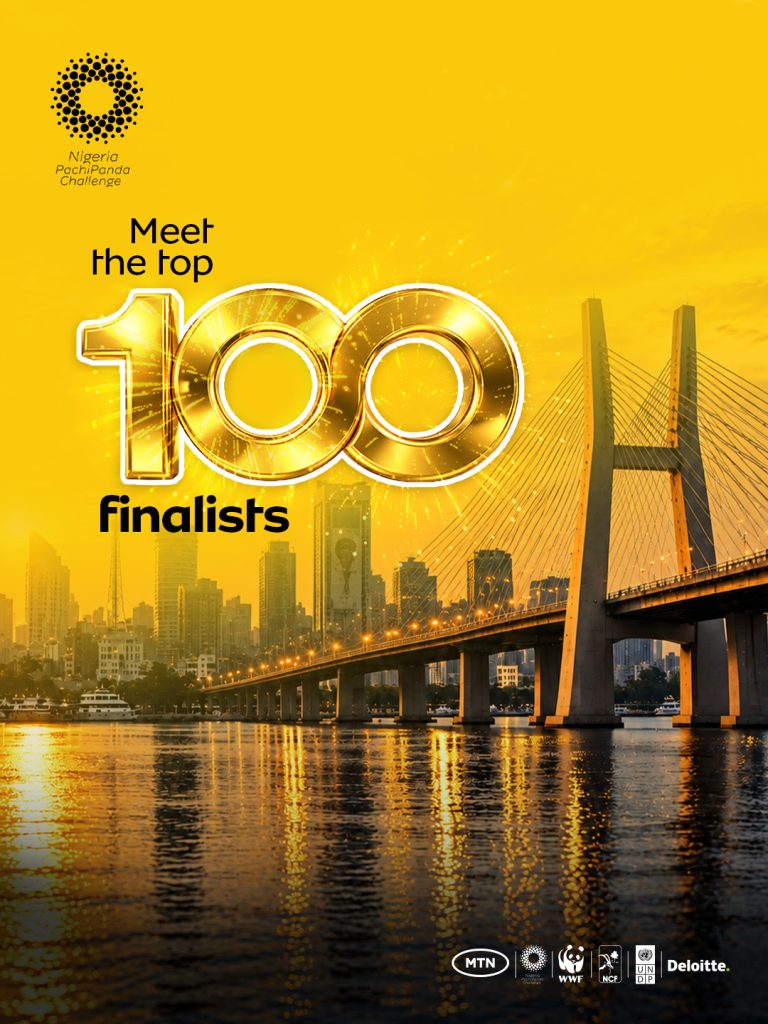 Pachipanda Challenge 3.0: 100 Nigerian Innovators Advance In Sustainability Competition